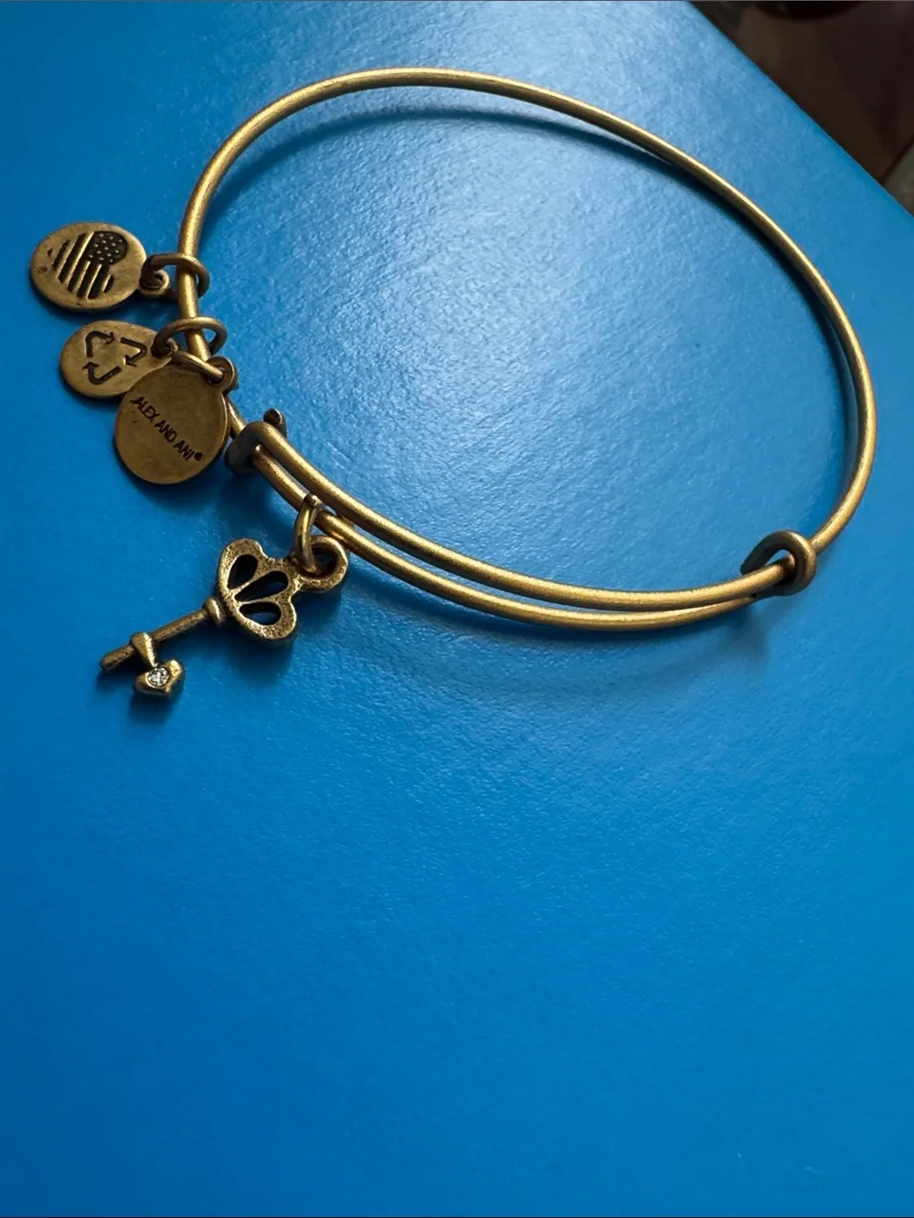 Alex and Ani Antique Gold Key & Charm Adjustable Bangle